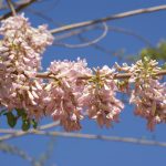 DSC03460